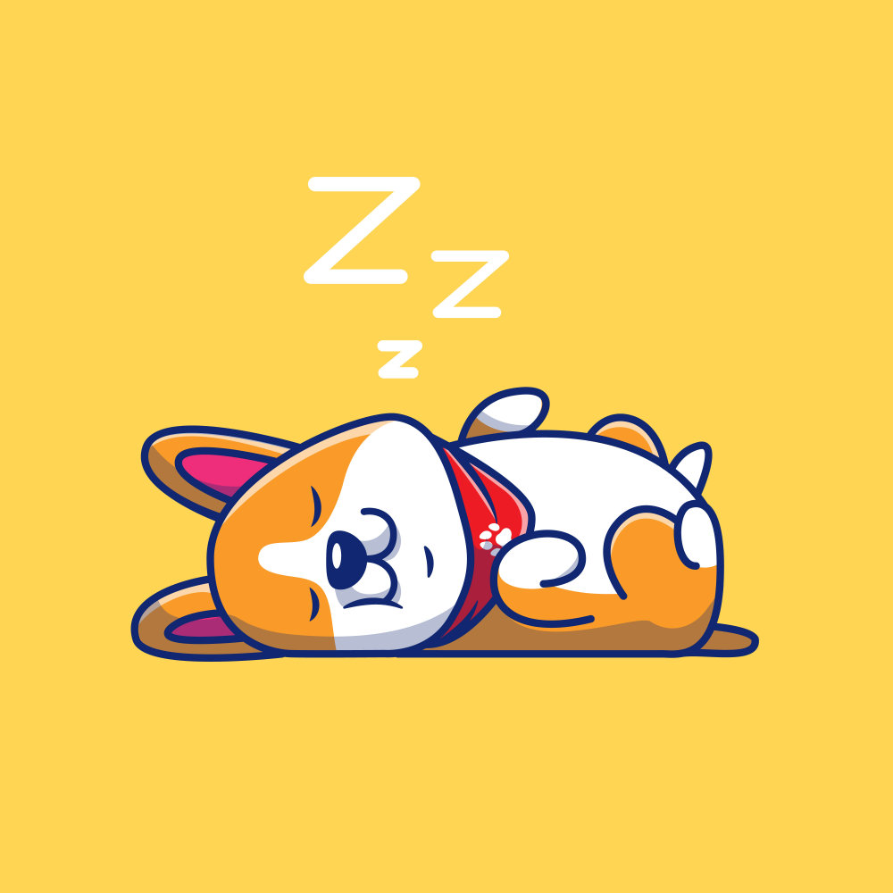 Sleep